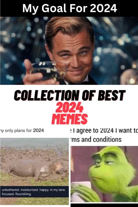 best memes 2024